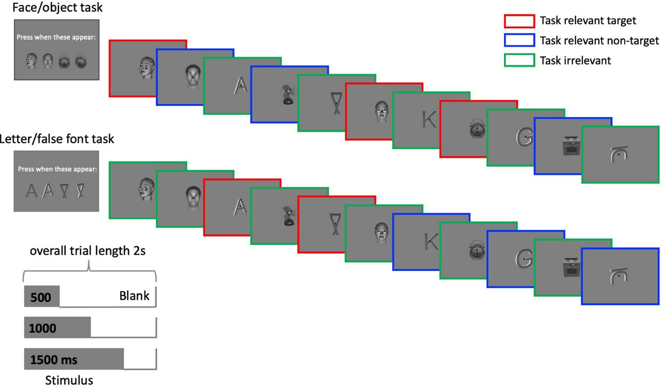cogitate_protocol